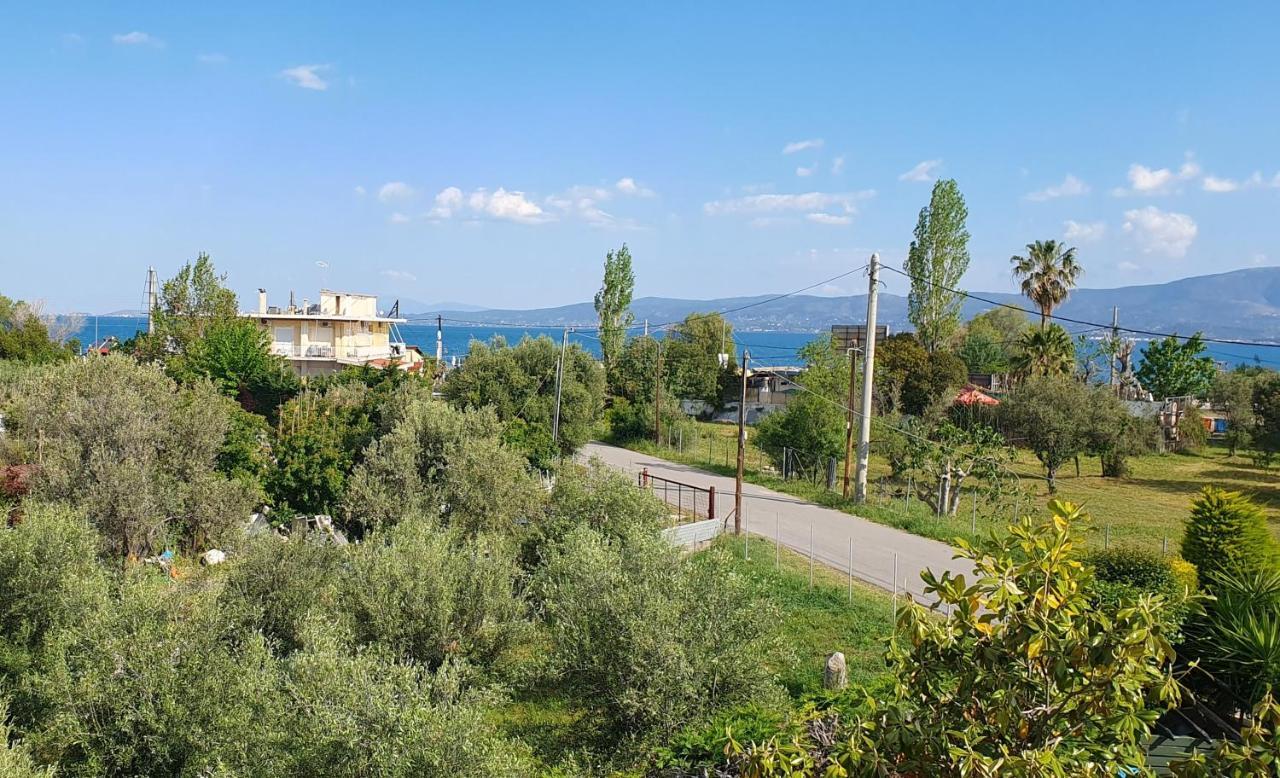 Vacation And Relaxation Home Oropos Nea Palatia المظهر الخارجي الصورة